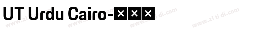 UT Urdu Cairo字体转换 UT Urdu Cairo字体转换